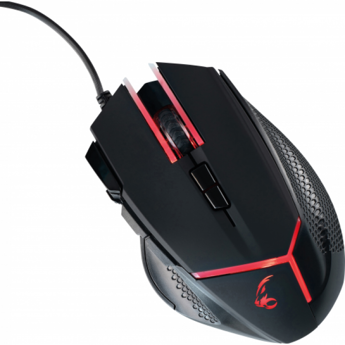 Mouse Optic MediaRange MRGS200, USB, Black