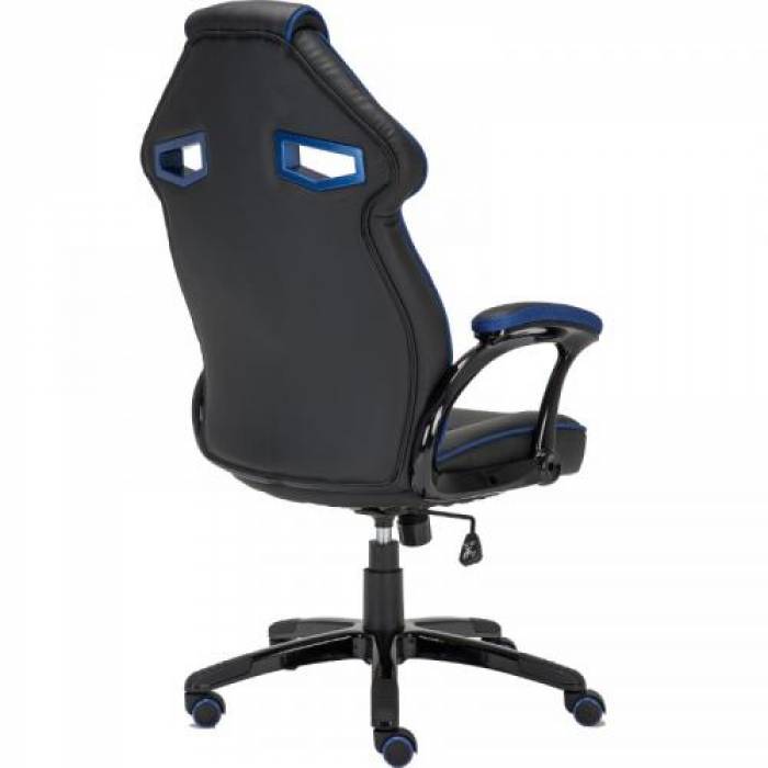 Scaun gaming Inaza Cobra, Black-Blue