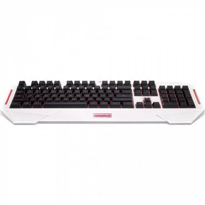 Tastatura Asus Cerberus Arctic, Red/Blue LED, USB, White