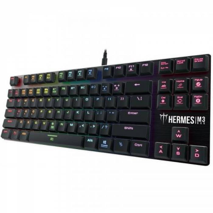 Tastatura Gamdias Hermes M3 GAMDIAS Brown Mecanica, RGB LED, USB, Black