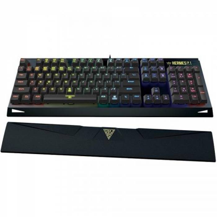 Tastatura Gamdias HERMES P1 Gamdias Brown, RGB LED, USB, Black