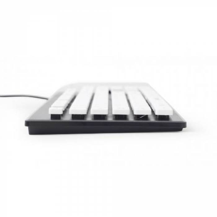 Tastatura Gembird Chocolate, USB, Black-White