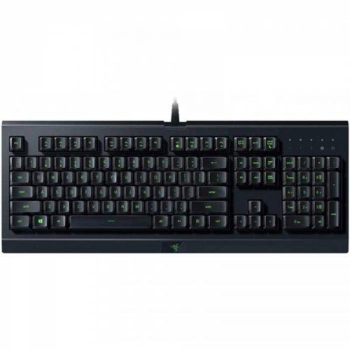 Tastatura Razer Cynosa Lite, RGB LED, USB, Black