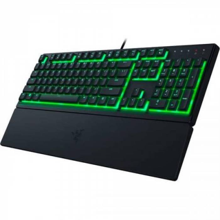 Tastatura Razer Ornata V3 X, USB, Black