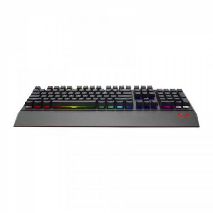 Tastatura Riotoro Ghostwriter Prism Cherry MX Blue Switch, RGB LED, USB, Black